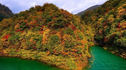 Japan nature trees lakes mountaineers akita sea wallpaper