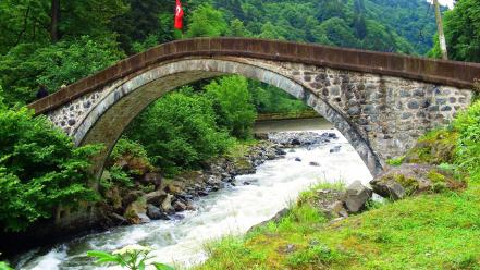 Landscapes nature forests bridges turkey rize wallpaper