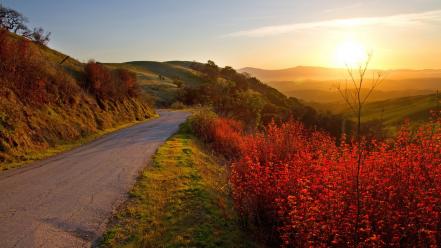 Landscapes nature sun roads wallpaper