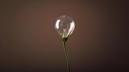 Minimalistic photosynthesis brown background lightbulb wallpaper