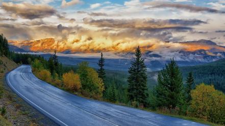 Nature forests roads skies yellowstone national park wallpaper