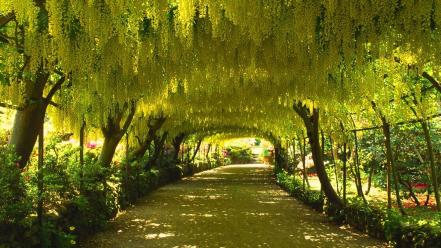 Nature trees garden wales parks arch wallpaper