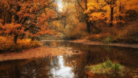 Water landscapes nature autumn forests rivers season wallpaper