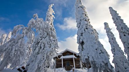 Winter snow trees finland wallpaper
