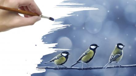 Birds artwork paint brushes blue tit wallpaper