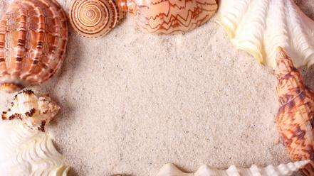 Seashells white sand wallpaper