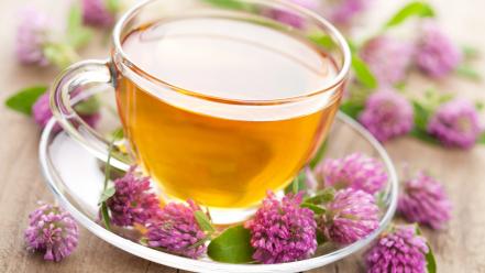 Tea macro drinks lavender herbs wallpaper