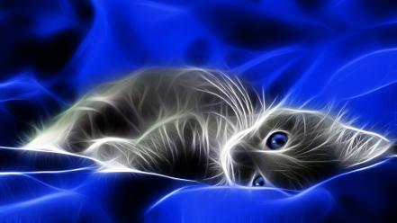 Blue cats digital art artwork kittens wallpaper