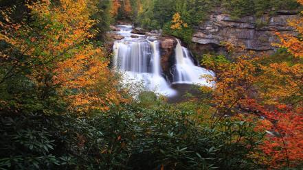 Landscapes nature trees autumn forests rivers lagoon cliff wallpaper