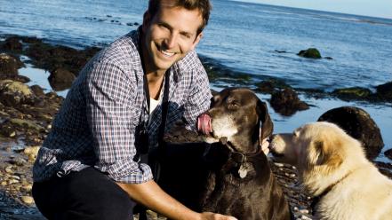 Dogs men smiling actors bradley cooper beach wallpaper