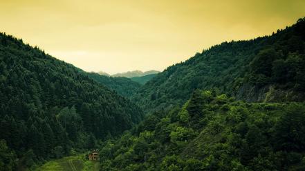 Forests houses hills deva between ravine upscaled wallpaper
