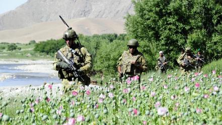 Nato australian isaf army uzurgan greenzone taliban wallpaper