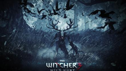 Video games the witcher 3: wild hunt wallpaper