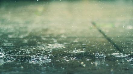 Water rain drops depth of field splashes wallpaper