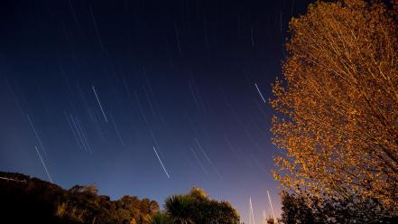 Trees night sky star trails wallpaper