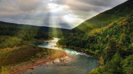 Trees white yellow forests hills rivers sunbeams wallpaper