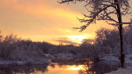 Landscapes nature winter snow trees rivers wallpaper