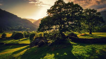 Norway landscapes nature sunlight trees wallpaper