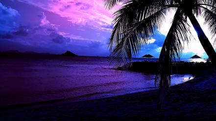 Beaches landscapes palm trees wallpaper