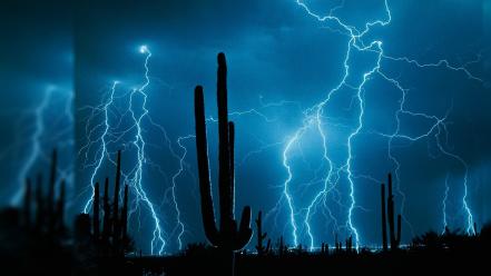 Cactus deserts lightning night wallpaper