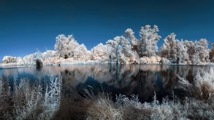 Water landscapes nature winter trees white lakes wallpaper