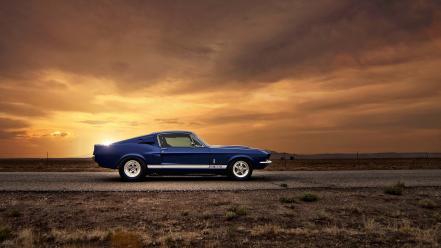 American muscle car ford mustang gt500 shelby cars wallpaper