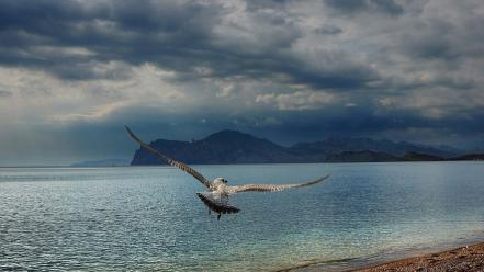 Birds clouds mountains nature waterscapes wallpaper