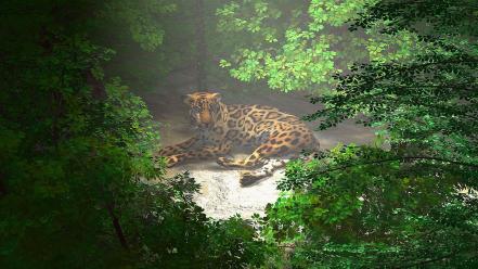 Cgi wild africa animals digital art leopards wallpaper