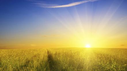 Grass field sunrise pictures wallpaper