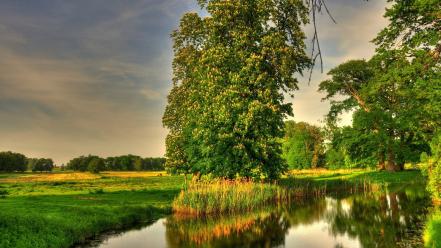 Landscapes nature trees germany rivers basedow wallpaper