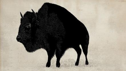 Animals buffalo digital art wild wallpaper