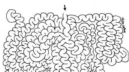 Black and white brain drawings maze minimalistic wallpaper