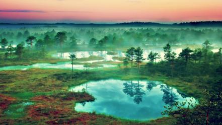 Estonia fog landscapes mist nature wallpaper