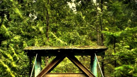 Forests bridges canada british columbia park wallpaper