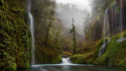 Forests fog waterfalls rivers the early morning wallpaper