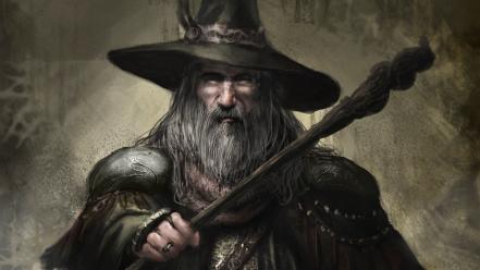 Gandalf the lord of rings beard wizards staff wallpaper