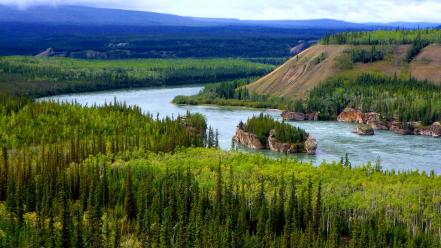 Nature trees forests hills valleys rivers yukon wallpaper