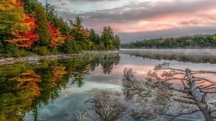 Nature trees red forests calm lakes reflections wallpaper