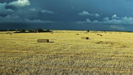 Ukraine haystack nature prairie wallpaper