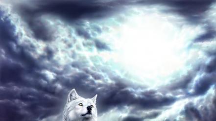 Animals clouds flying spirit sunlight wallpaper