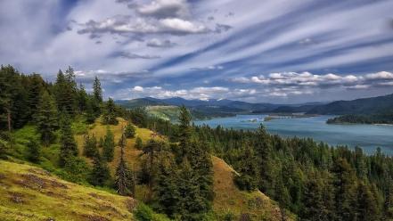 Blue clouds forests grass green wallpaper