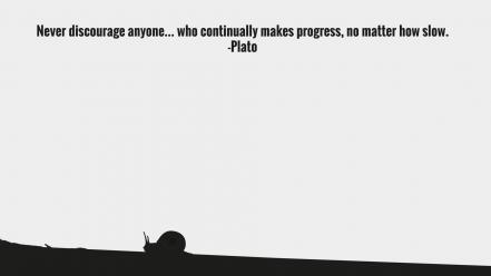 Minimalistic quotes snail motivational plato wallpaper