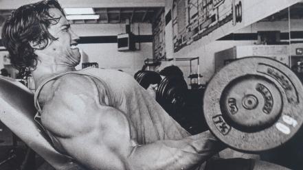 Arnold schwarzenegger black and white gym muscles strong wallpaper