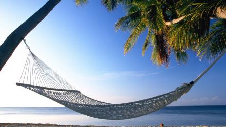 Beaches hammock nature palm trees wallpaper