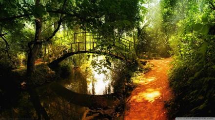 Bridges forests nature reflections wallpaper