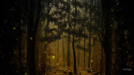 Landscapes nature trees wood forests woods fireflies wallpaper