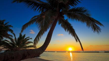 Maldives beach sunset wallpaper