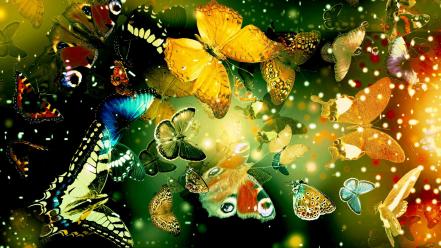 Colorful butterfly wallpaper