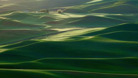 Countryside dawning fields grass green wallpaper