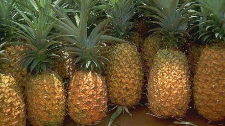 Pineapples fruits strong fresh vitamins wallpaper